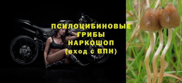 Альфа ПВП Аркадак