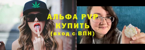 сатива Армянск