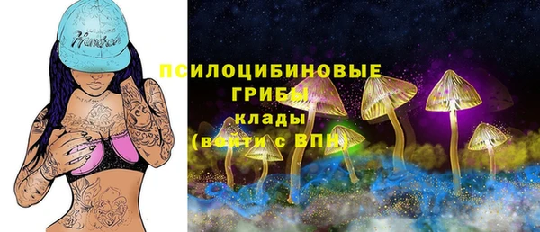 Альфа ПВП Аркадак