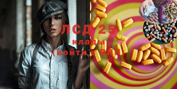 сатива Армянск