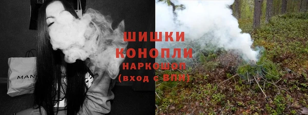 сатива Армянск