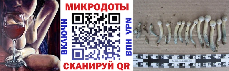 где найти наркотики  Можайск  Галлюциногенные грибы GOLDEN TEACHER 